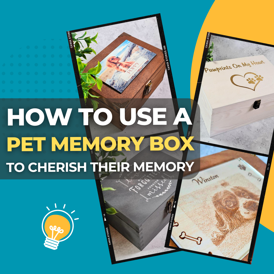 Memory box for sales pets