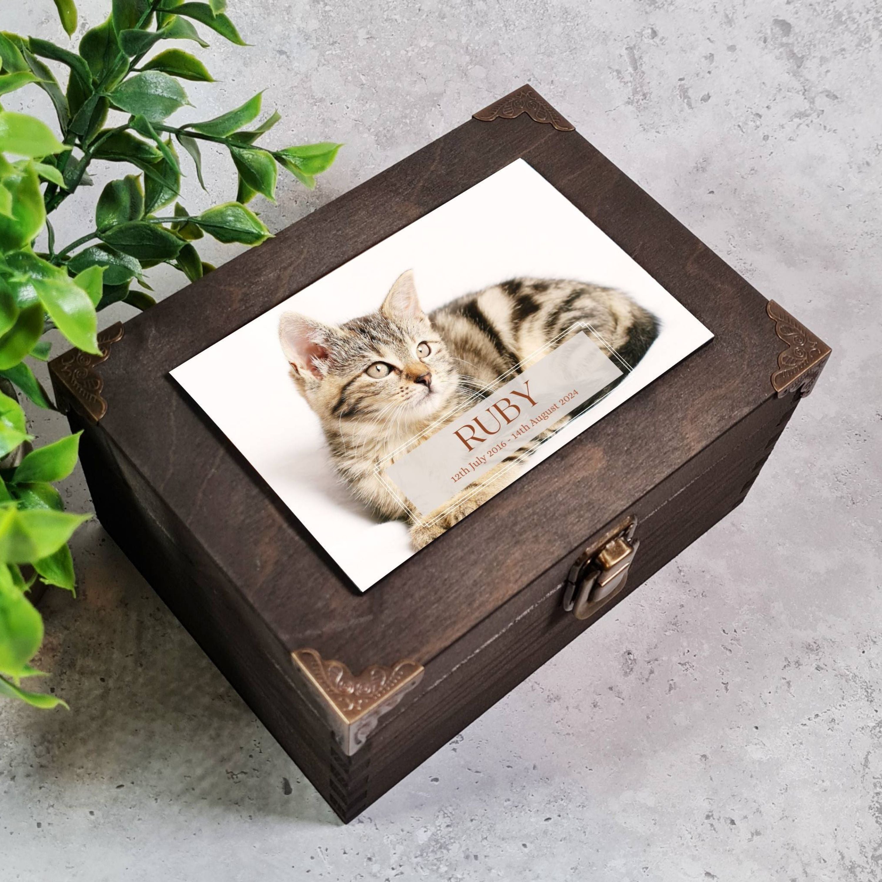 Cat memory box best sale