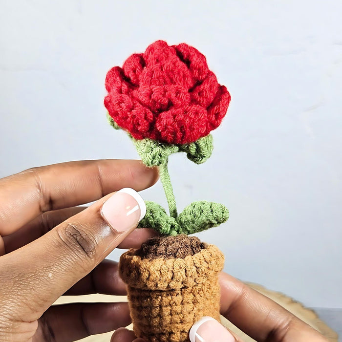 Mini Crochet Potted Everlasting Rose Flower