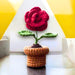 Mini Crochet Potted Everlasting Rose Flower