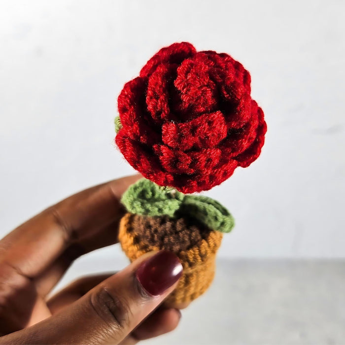 Mini Crochet Potted Everlasting Rose Flower