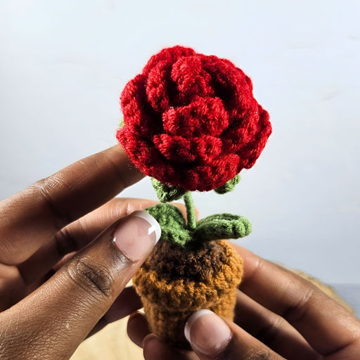 Mini Crochet Potted Everlasting Rose Flower