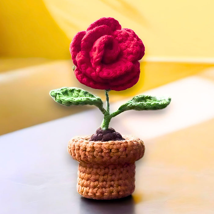 Mini Crochet Potted Everlasting Rose Flower