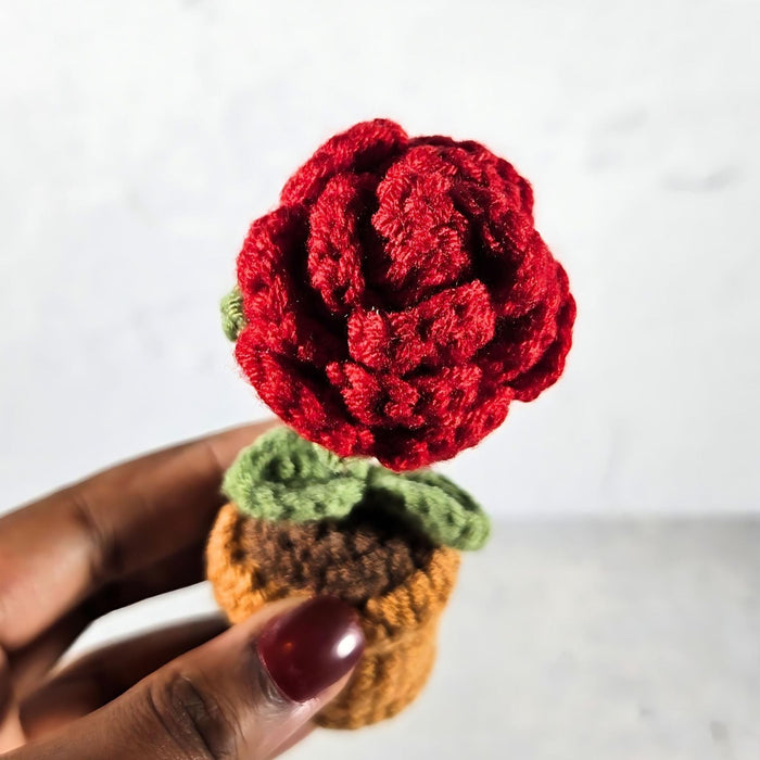 Mini Crochet Potted Everlasting Rose Flower