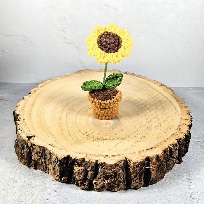 Mini Crochet Potted Everlasting Sunflower