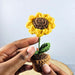 Mini Crochet Potted Everlasting Sunflower