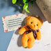 Pocket Comfort Bear and Wallet Card Poem - Bereavement and Loss Sympathy Gift