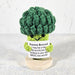 Positive Vibes Mini Crochet Broccoli