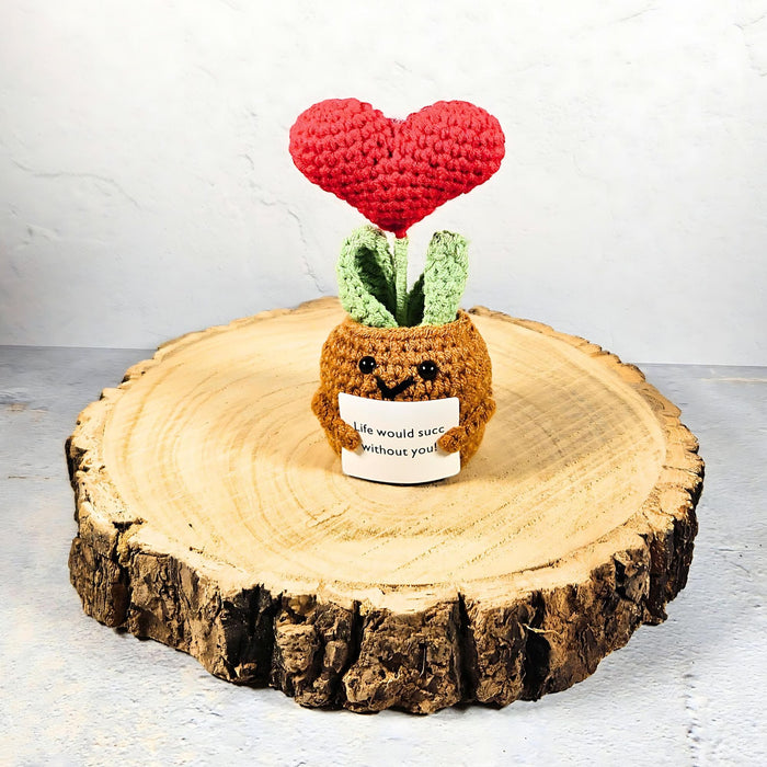 Positive Vibes Mini Crochet Plant: Succulent Love Heart