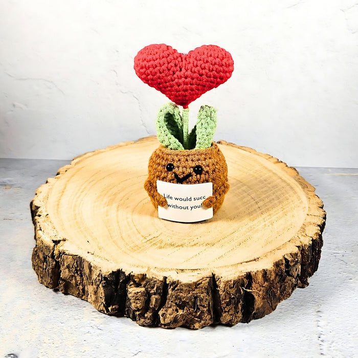 Positive Vibes Mini Crochet Plant: Succulent Love Heart