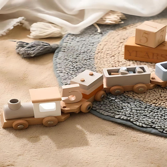 Wooden Montessori Baby Train Toy